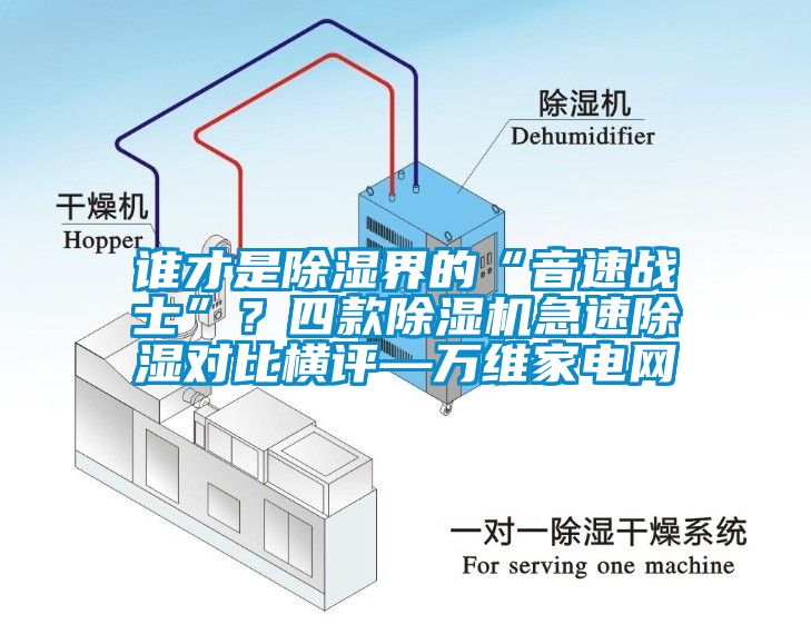 谁才是除湿界的“音速战士”？四款草莓视频APP在线急速除湿对比横评—万维家电网