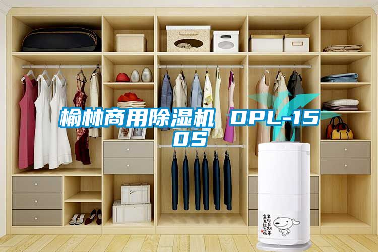 榆林商用草莓视频APP在线 DPL-150S