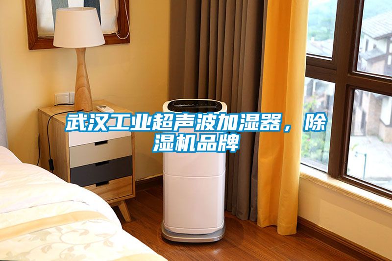 武汉工业超声波加湿器，草莓视频APP在线品牌