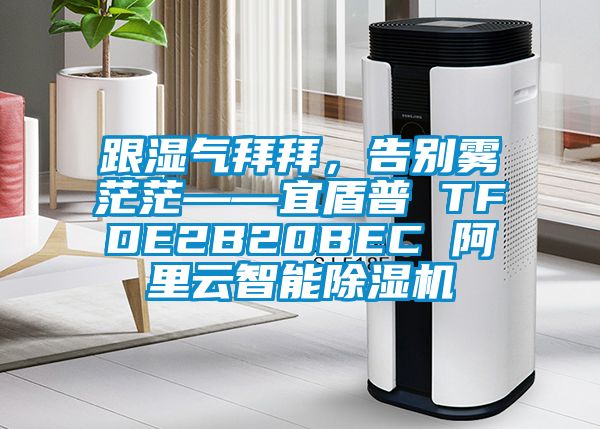 跟湿气拜拜，告别雾茫茫——宜盾普 TFDE2B20BEC 阿里云智能草莓视频APP在线