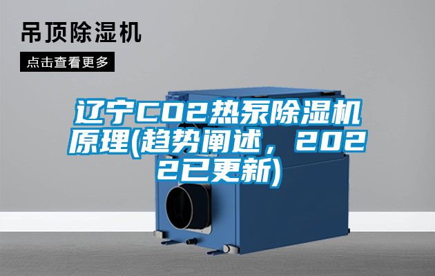 辽宁CO2热泵草莓视频APP在线原理(趋势阐述，2022已更新)