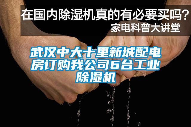 武汉中大十里新城配电房订购我公司6台工业草莓视频APP在线