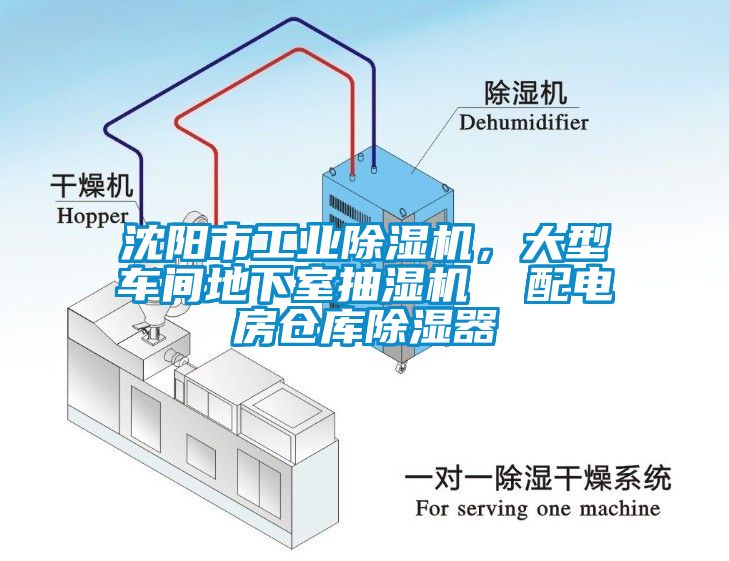 沈阳市工业草莓视频APP在线，大型车间地下室抽湿机  配电房仓库除湿器