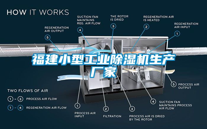 福建小型工业草莓视频APP在线生产厂家