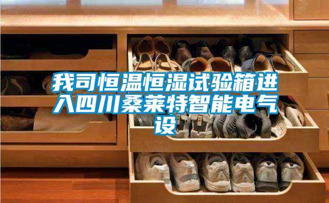 我司恒温恒湿试验箱进入四川桑莱特智能电气设