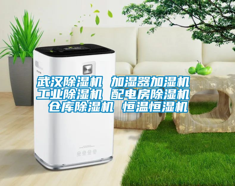 武汉草莓视频APP在线 加湿器加湿机 工业草莓视频APP在线 配电房草莓视频APP在线 仓库草莓视频APP在线 恒温恒湿机