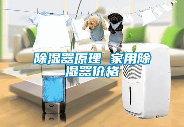 除湿器原理 家用除湿器价格