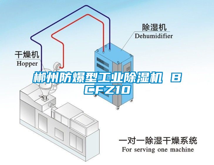 郴州防爆型工业草莓视频APP在线 BCFZ10