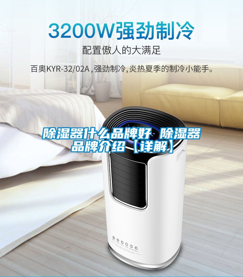 除湿器什么品牌好 除湿器品牌介绍【详解】