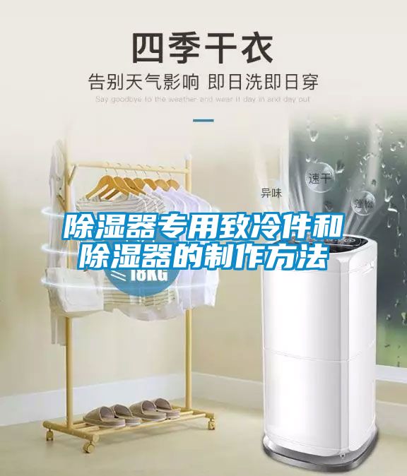 除湿器专用致冷件和除湿器的制作方法