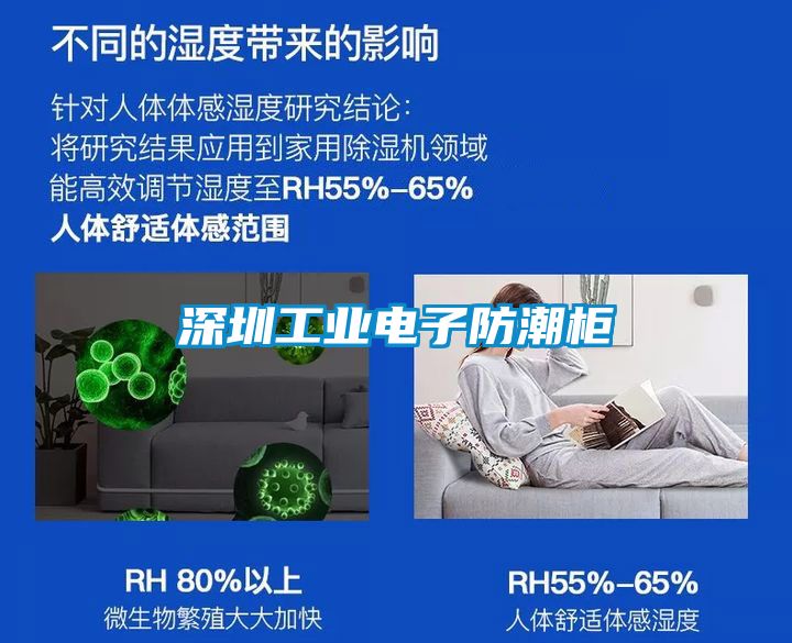 深圳工业电子防潮柜