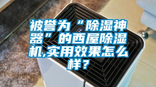 被誉为“除湿神器”的西屋草莓视频APP在线,实用效果怎么样？