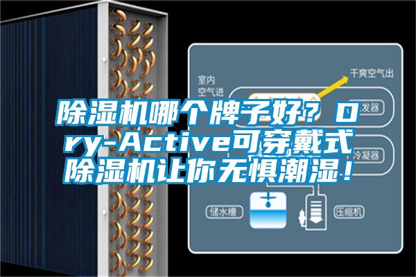 草莓视频APP在线哪个牌子好？Dry-Active可穿戴式草莓视频APP在线让你无惧潮湿！