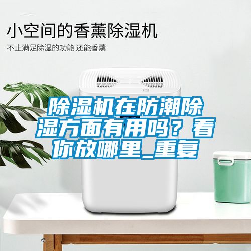 草莓视频APP在线在防潮除湿方面有用吗？看你放哪里_重复