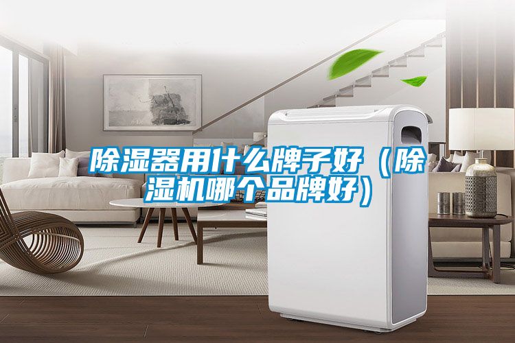 除湿器用什么牌子好（草莓视频APP在线哪个品牌好）