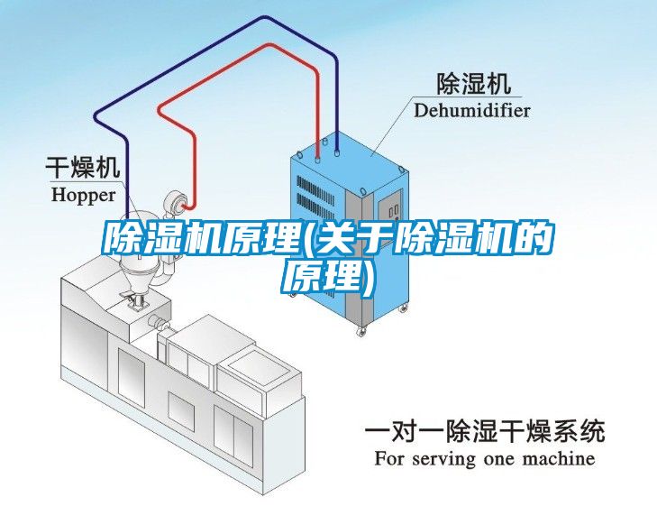 草莓视频APP在线原理(关于草莓视频APP在线的原理)