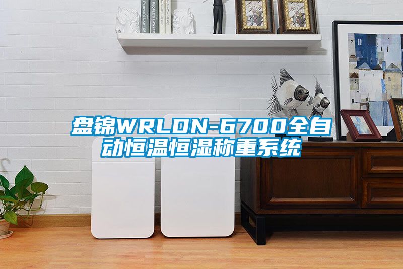 盘锦WRLDN-6700全自动恒温恒湿称重系统