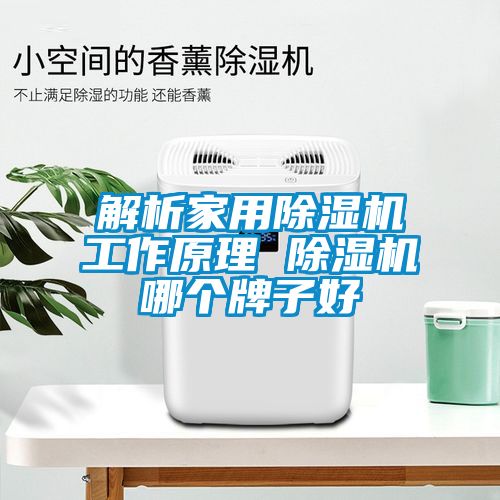 解析家用草莓视频APP在线工作原理 草莓视频APP在线哪个牌子好