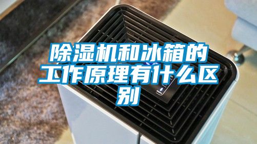 草莓视频APP在线和冰箱的工作原理有什么区别