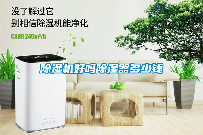 草莓视频APP在线好吗除湿器多少钱