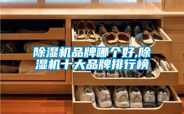 草莓视频APP在线品牌哪个好,草莓视频APP在线十大品牌排行榜