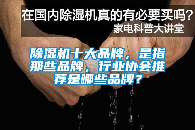 草莓视频APP在线十大品牌，是指那些品牌，行业协会推荐是哪些品牌？