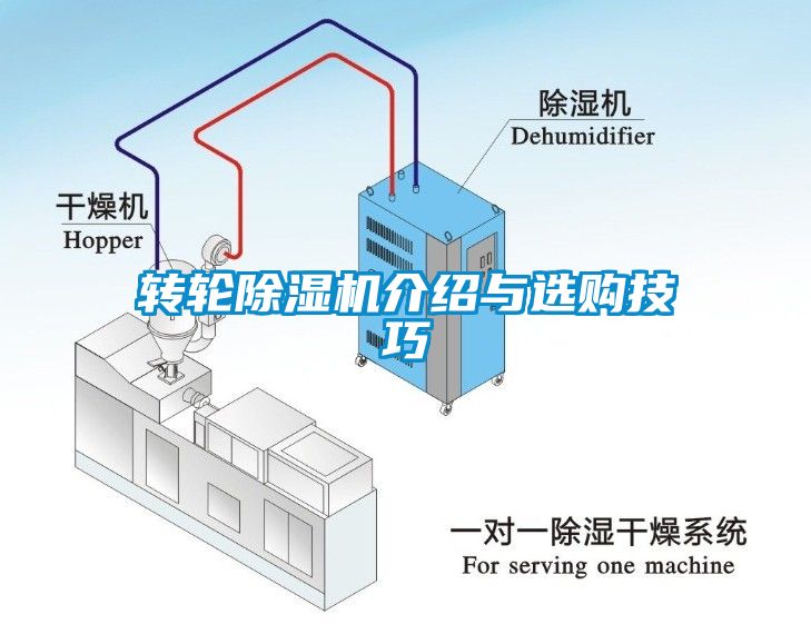 转轮草莓视频APP在线介绍与选购技巧