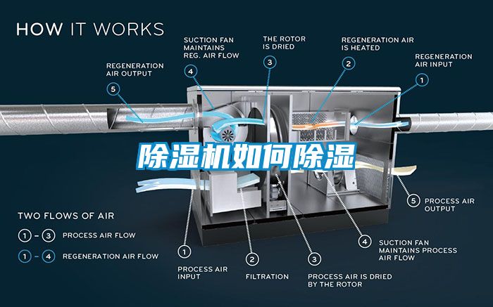 草莓视频APP在线如何除湿