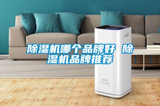 草莓视频APP在线哪个品牌好 草莓视频APP在线品牌推荐