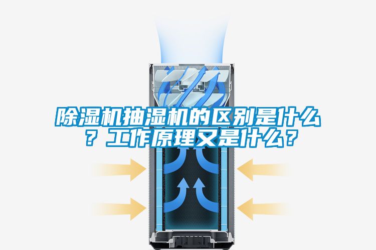 草莓视频APP在线抽湿机的区别是什么？工作原理又是什么？