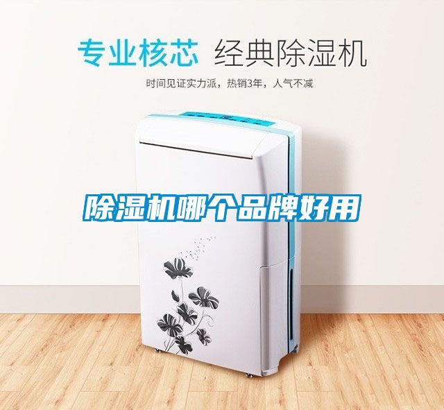 草莓视频APP在线哪个品牌好用