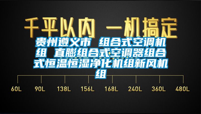 贵州遵义市 组合式空调机组 直膨组合式空调器组合式恒温恒湿净化机组新风机组