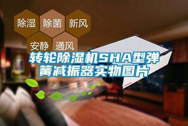 转轮草莓视频APP在线SHA型弹簧减振器实物图片