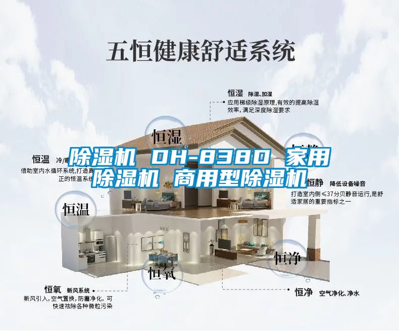 草莓视频APP在线 DH-838D 家用草莓视频APP在线 商用型草莓视频APP在线