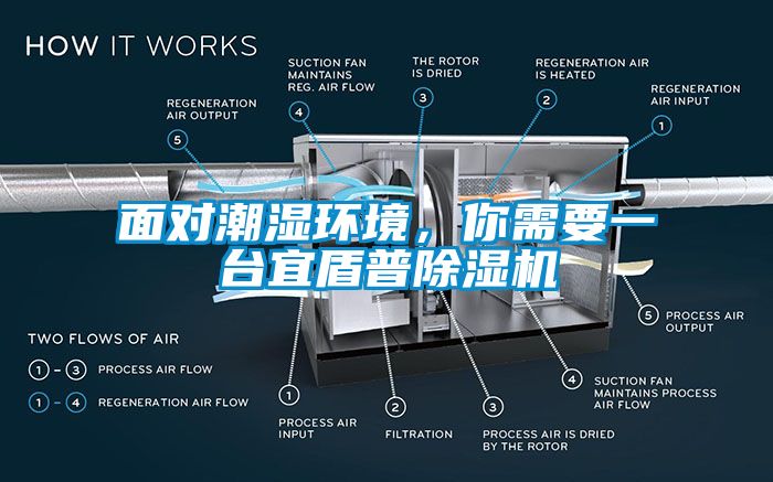 面对潮湿环境，你需要一台宜盾普草莓视频APP在线