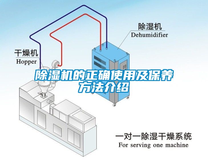 草莓视频APP在线的正确使用及保养方法介绍